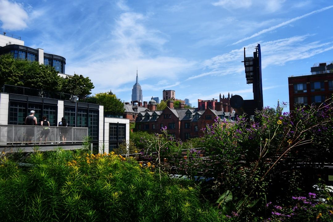 high line new york chelsea elevated park plants landscape